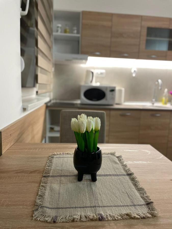 Apartman Mik Újvidék Kültér fotó